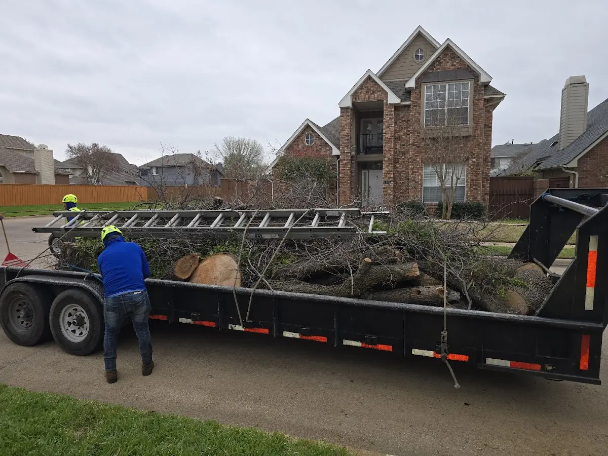 Expert Tree Removal with proper safety equipment in Valparaiso
